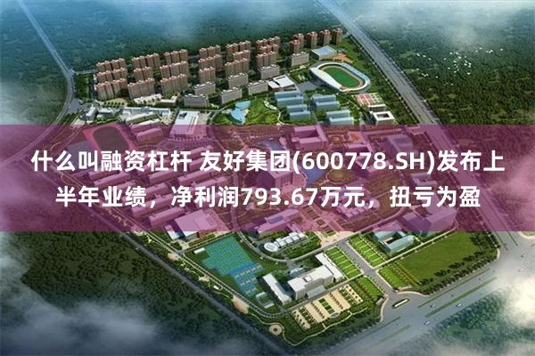 什么叫融资杠杆 友好集团(600778.SH)发布上半年业绩，净利润793.67万元，扭亏为盈