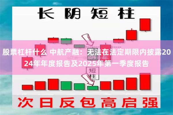 股票杠杆什么 中航产融：无法在法定期限内披露2024年年度报告及2025年第一季度报告