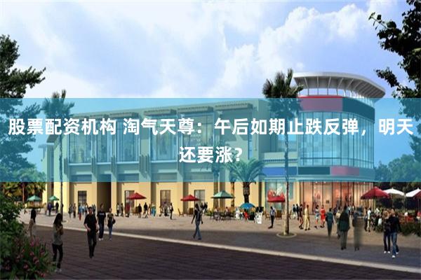 股票配资机构 淘气天尊：午后如期止跌反弹，明天还要涨？