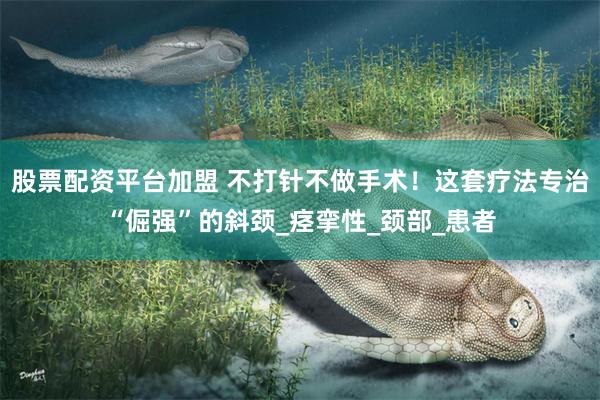 股票配资平台加盟 不打针不做手术！这套疗法专治“倔强”的斜颈_痉挛性_颈部_患者
