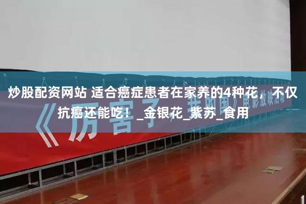 炒股配资网站 适合癌症患者在家养的4种花，不仅抗癌还能吃！_金银花_紫苏_食用