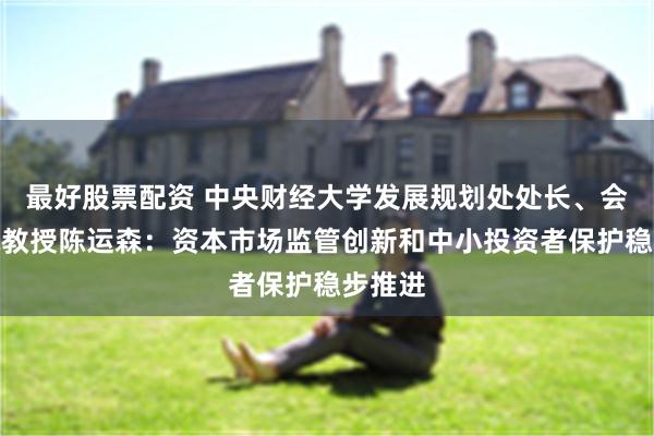 最好股票配资 中央财经大学发展规划处处长、会计学院教授陈运森：资本市场监管创新和中小投资者保护稳步推进