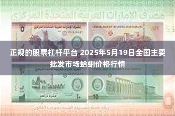 正规的股票杠杆平台 2025年5月19日全国主要批发市场蛤蜊价格行情