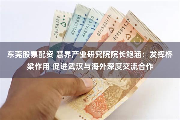 东莞股票配资 慧界产业研究院院长鲍涵：发挥桥梁作用 促进武汉与海外深度交流合作