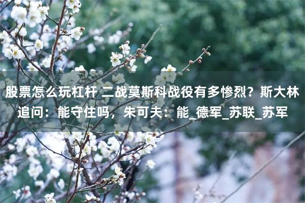 股票怎么玩杠杆 二战莫斯科战役有多惨烈？斯大林追问：能守住吗，朱可夫：能_德军_苏联_苏军