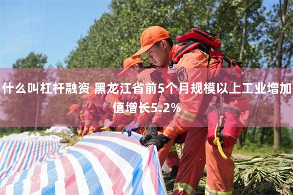 什么叫杠杆融资 黑龙江省前5个月规模以上工业增加值增长5.2%