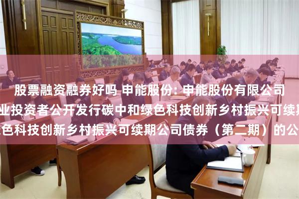 股票融资融券好吗 申能股份: 申能股份有限公司关于完成2025年面向专业投资者公开发行碳中和绿色科技创新乡村振兴可续期公司债券(第二期)的公告