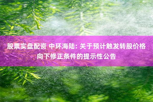 股票实盘配资 中环海陆: 关于预计触发转股价格向下修正条件的提示性公告