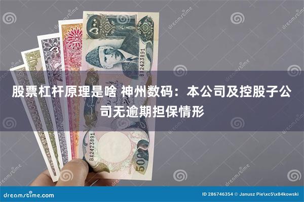 股票杠杆原理是啥 神州数码：本公司及控股子公司无逾期担保情形