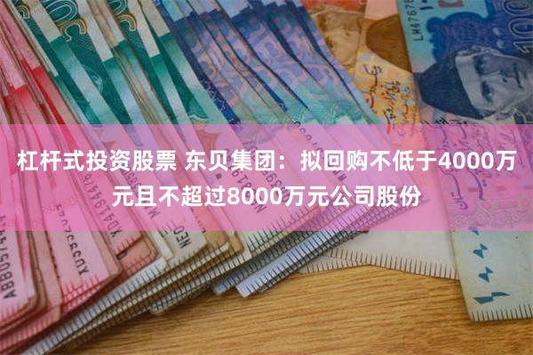 杠杆式投资股票 东贝集团：拟回购不低于4000万元且不超过8000万元公司股份