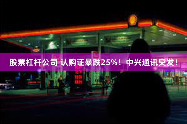 股票杠杆公司 认购证暴跌25%！中兴通讯突发！